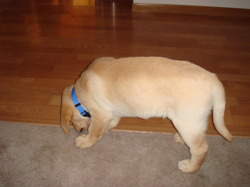 DSC00051.jpg