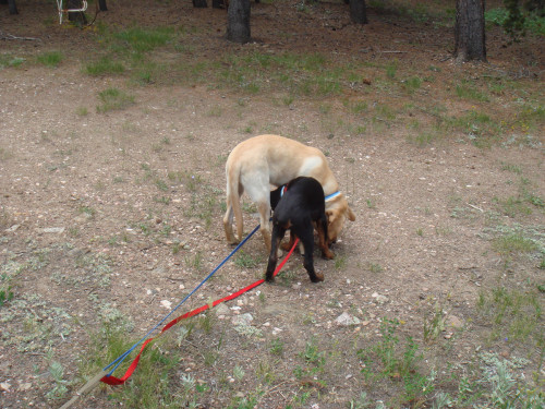 DSC00237.jpg