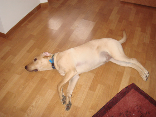 DSC00340.jpg