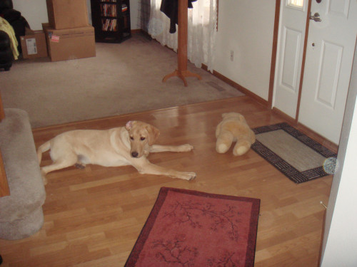 DSC00351.jpg