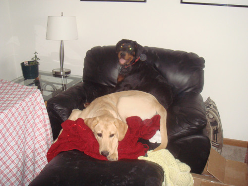 DSC00354.jpg