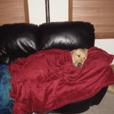 DSC00670